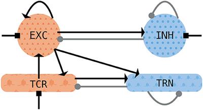 Cross-Frequency Slow Oscillation–Spindle Coupling in a Biophysically Realistic Thalamocortical Neural Mass Model